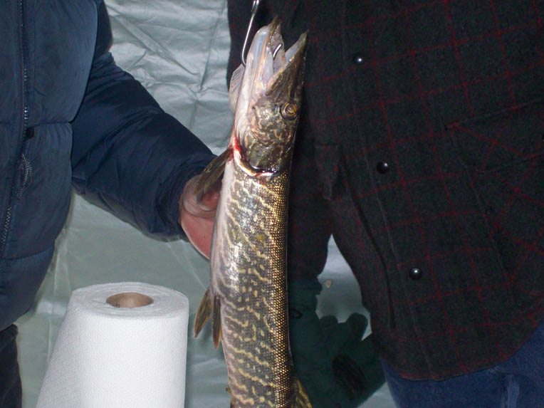 ice fishing derby 007